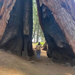 Meet your Posher, Gianna🧚🏻♀️